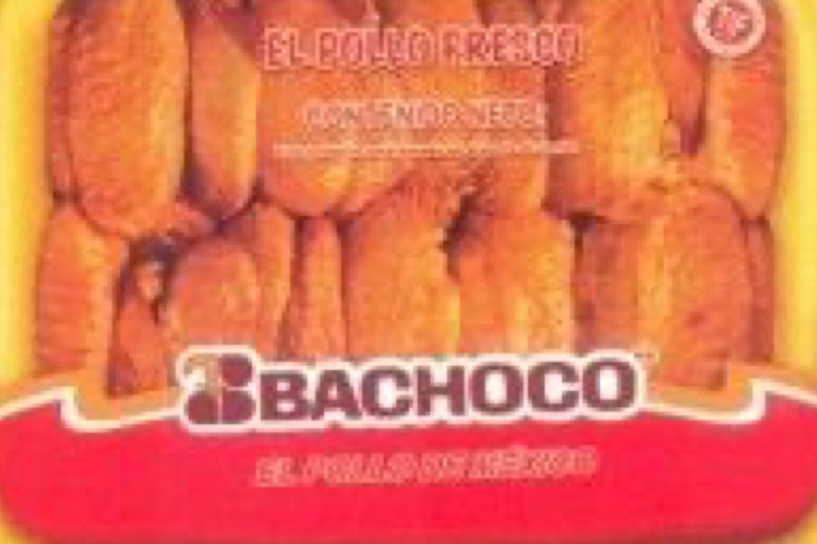 1996 bachoco history