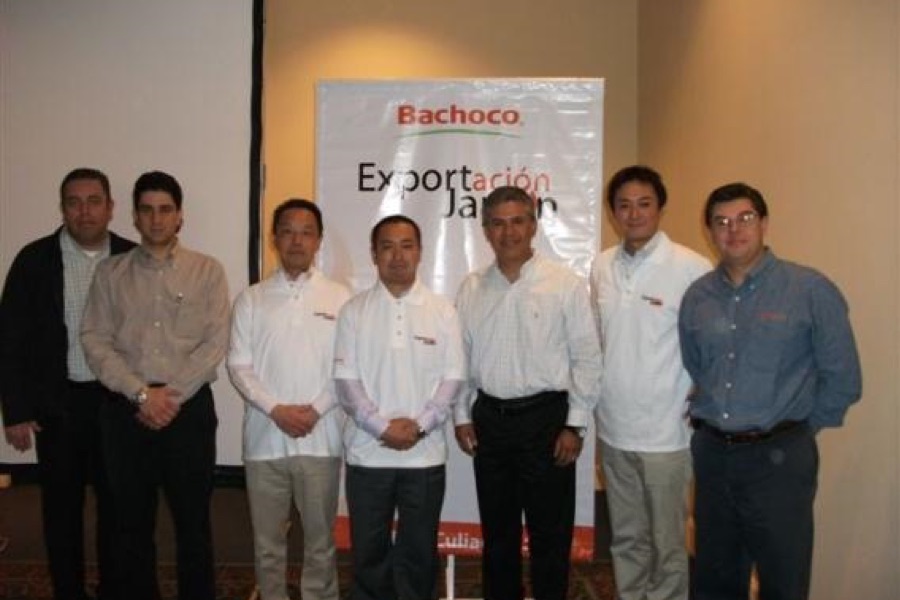 2010 bachoco history
