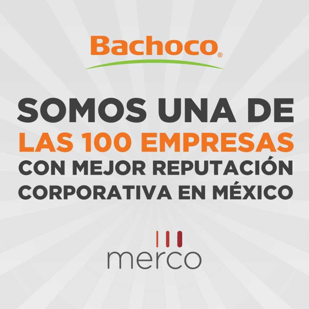 Bachoco Merco 03 002 1024x1024 1